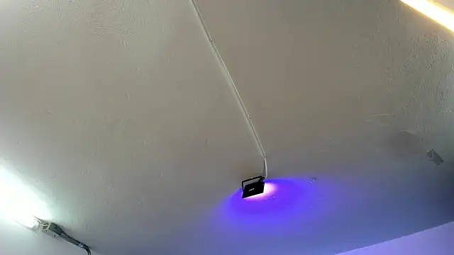 Amy Kiitty  online show from November 21, 12:37 pm