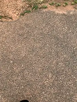 Black mamba madingo online show from February 15, 12:11 pm