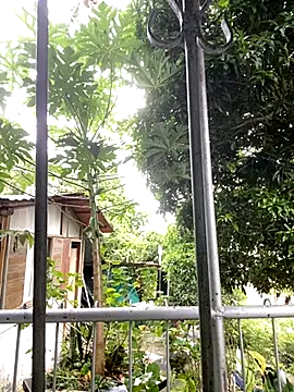 Jestebanano online show from October 18, 8:20 pm