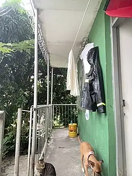 Jestebanano online show from February 4, 7:42 pm