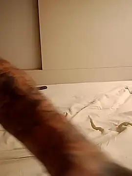 Snapshot of rolesexy chatting on January 19, 2:47 am rolesexy online show from January 19, 2:47 am