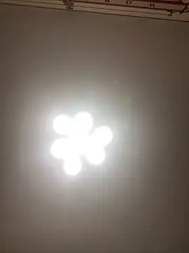 Snapshot of Janet_Welder chatting on November 16, 8:25 pm Janet Welder online show from November 16, 8:25 pm