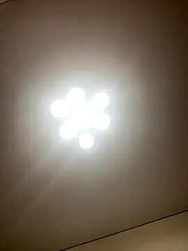 Snapshot of Janet_Welder chatting on December 5, 12:30 am Janet Welder online show from December 5, 12:30 am