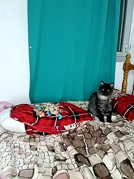 sama0012 online show from February 19, 11:14 pm