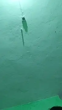 RADHAHO online show from October 9, 7:23 pm