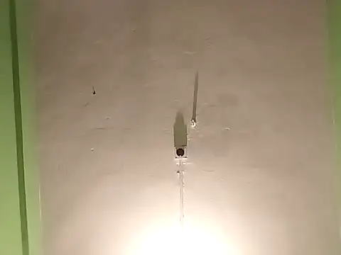 RADHAHO online show from November 4, 5:34 pm