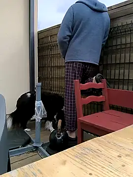 bogland33 online show from March 13, 10:15 am