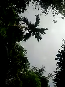 Snapshot of kumaricapalsex2 chatting on January 26, 5:34 am kumaricapalsex2 online show from January 26, 5:34 am