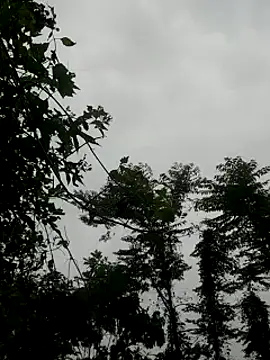 Snapshot of kumaricapalsex2 chatting on January 27, 4:20 am kumaricapalsex2 online show from January 27, 4:20 am