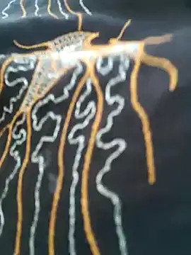 Snapshot of kumaricapalsex2 chatting on February 6, 11:43 am kumaricapalsex2 online show from February 6, 11:43 am