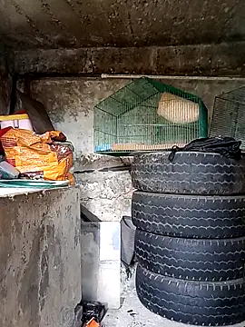 Elvishcassie  online show from October 1, 6:58 pm