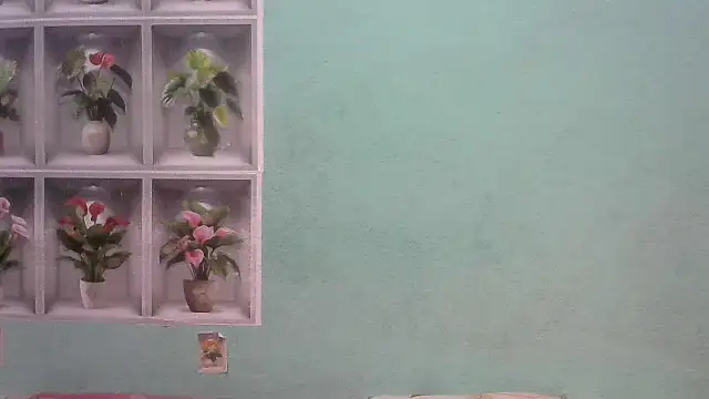 nanhi munni online show from February 19, 1:45 am