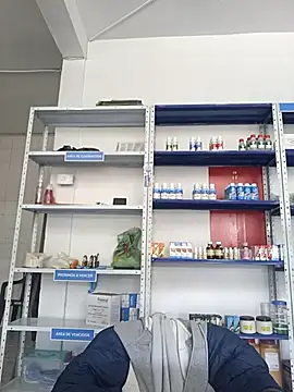 Megan jennerr online show from November 7, 2:39 pm