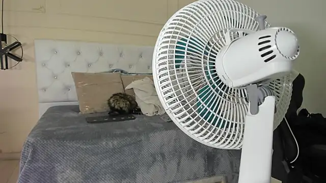 Slut Milf  online show from January 23, 10:44 pm