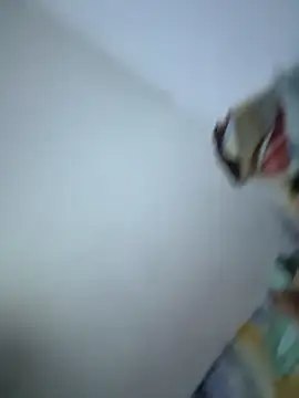 SweetBonniie online show from November 3, 12:02 am