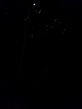 Raju4173 online show from February 14, 7:12 pm