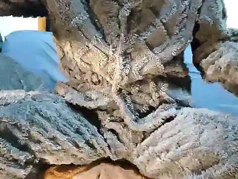 Snapshot of creamlive97 chatting on December 30, 12:42 pm creamlive97 online show from December 30, 12:42 pm