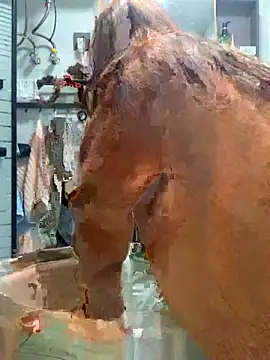 Aimeil online show from November 18, 3:27 pm