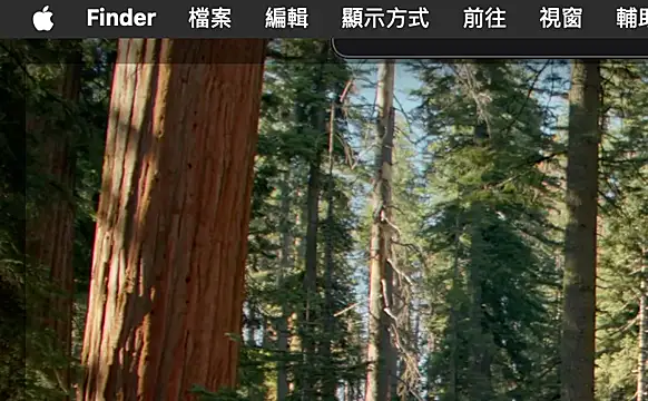 Snapshot of ex199212 chatting on March 8, 1:50 am ex199212 online show from March 8, 1:50 am