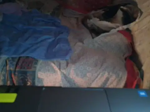 VeneRed online show from January 17, 6:55 pm