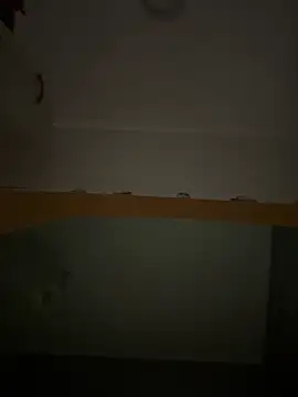 Lecatore80 online show from November 16, 9:04 am