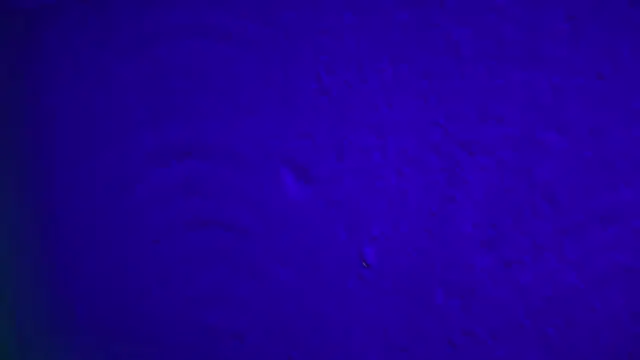 Snapshot of GymBoyVan chatting on February 4, 4:07 am GymBoyVan online show from February 4, 4:07 am