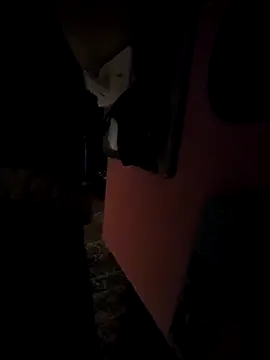 pumapatri online show from March 11, 6:25 pm