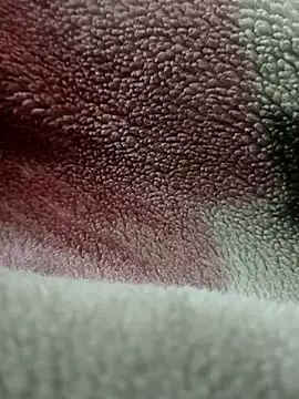 Anamika Kapoor online show from November 27, 6:26 am