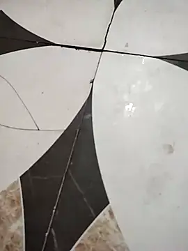 savixxx online show from December 5, 5:48 am