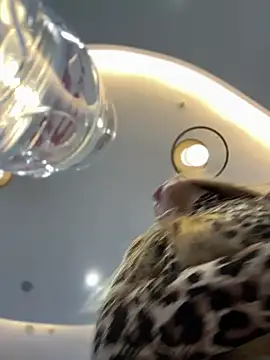 Snapshot of mur_girl chatting on December 30, 12:42 pm mur girl online show from December 30, 12:42 pm