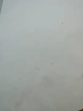 Snapshot of Sania-Love chatting on December 2, 11:11 pm Sania-Love online show from December 2, 11:11 pm