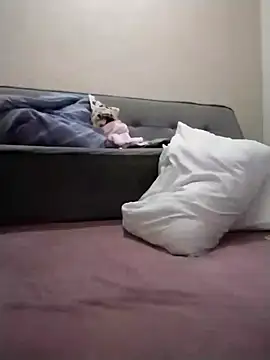 Snapshot of Luci_foxx chatting on March 19, 1:42 am Luci foxx online show from March 19, 1:42 am