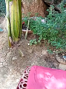 Snapshot of tayson_ chatting on January 11, 3:20 pm tayson online show from January 11, 3:20 pm