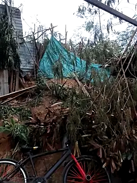 Snapshot of tayson_ chatting on February 7, 11:36 am tayson online show from February 7, 11:36 am