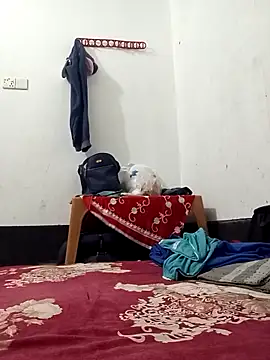 HenaAra online show from March 19, 7:29 pm