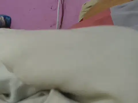 Snapshot of Cheliafun chatting on June 29, 1:33 pm Cheliafun online show from June 29, 1:33 pm
