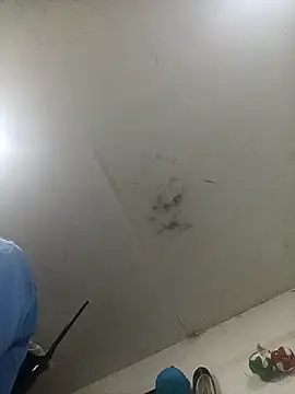 Snapshot of jeremiabello chatting on February 14, 1:02 am jeremiabello online show from February 14, 1:02 am