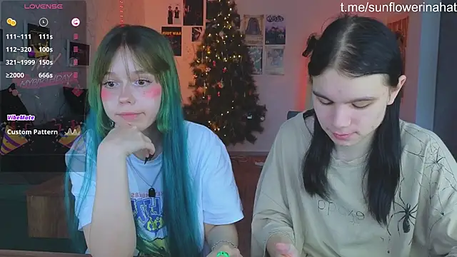 812sunflowerinahat online show from December 15, 9:03 am