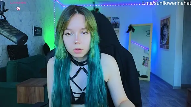 812sunflowerinahat online show from December 19, 9:29 am