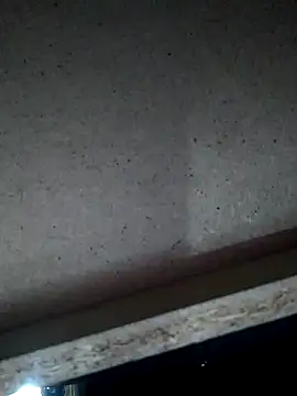 Leocesar37 online show from November 15, 4:54 am