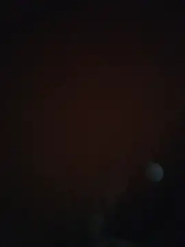 Leocesar37 online show from December 5, 6:55 am