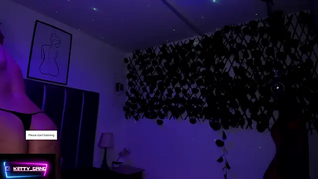 Kitty Gang online show from December 5, 2:20 am