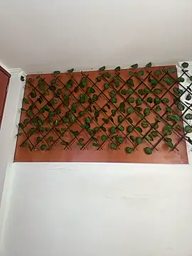 Snapshot of Emily_Trujillo chatting on November 8, 5:34 pm Emily Trujillo online show from November 8, 5:34 pm