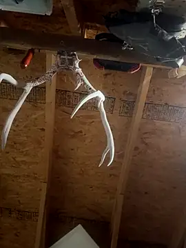 Snapshot of dcockell chatting on October 23, 4:01 am dcockell online show from October 23, 4:01 am