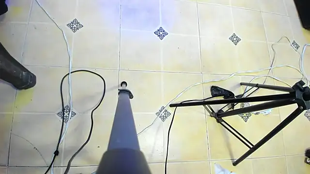 playsgirlhot online show from February 22, 2:39 am