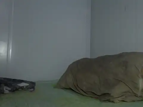 serjdj90 online show from November 11, 8:03 am