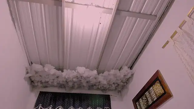 Lauu G online show from November 21, 2:21 am