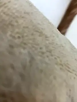 Snapshot of mjnas chatting on December 4, 8:12 am mjnas online show from December 4, 8:12 am