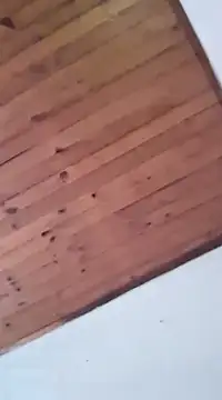 Snapshot of DANIELA_MICHEL chatting on January 19, 8:41 pm DANIELA MICHEL online show from January 19, 8:41 pm