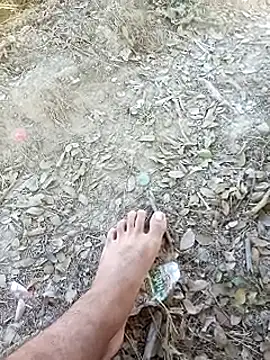 Snapshot of Misbion chatting on November 18, 9:47 am Misbion online show from November 18, 9:47 am